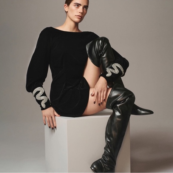 NWT Zara Woman Bloggers Fav SHORT VELVET DRESS THE ITEM Rhinestone Snakes XS - Picture 2 of 12